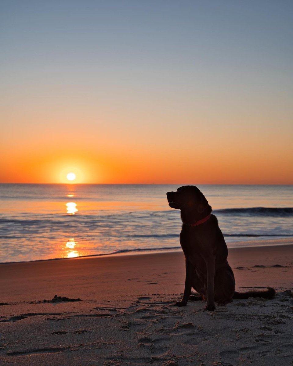 “When the sun is setting, leave whatever you are doing and watch it". Have you planned your Easter holiday yet? If not then book your stay with us for 2 nights &amp; get 10% off - we've got fun for the whole family &amp; your pooch! rehobothheritage.com/offers
P.c-@elliotmacguire