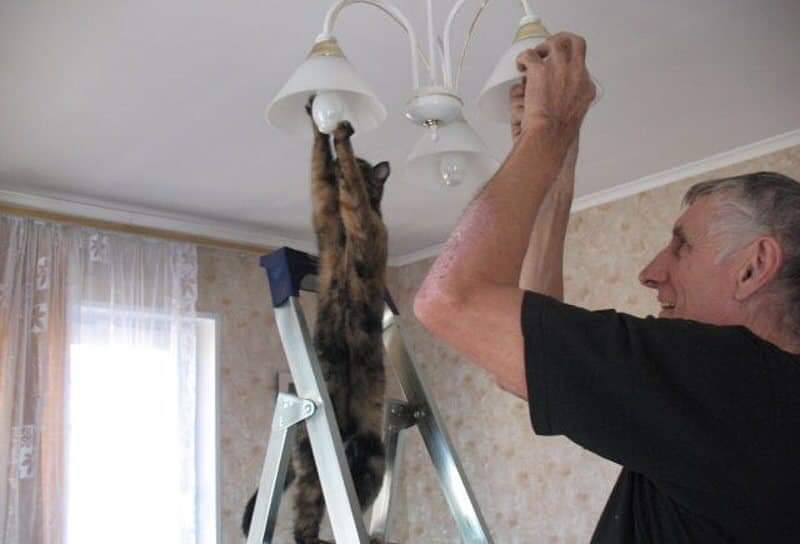 gatitos_qctd's tweet photo. A ver, Raúl, te dije que lo pusieras bien https://t.co/Bd4BVCUvpP