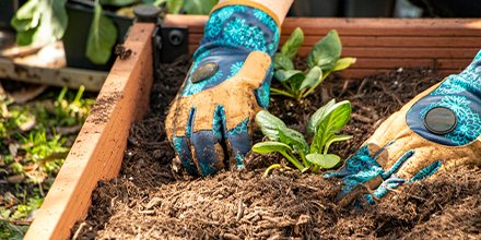 There is great satisfaction in growing a garden, and with spring just around the corner, it’s time to get started! You don’t need much space to create a beautiful garden. For more gardening tips, head over to our blog. bddy.me/3cyKPsY