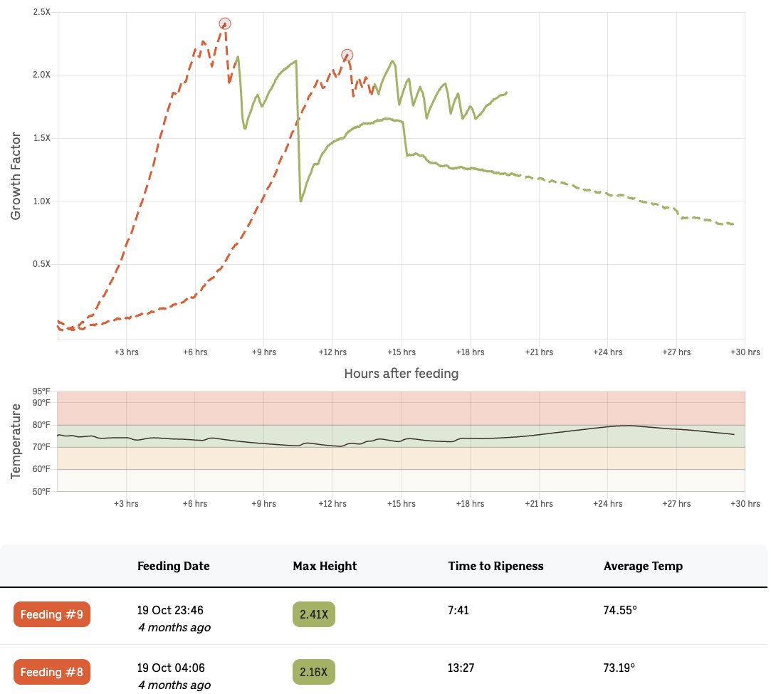 Breadwinner tweet media