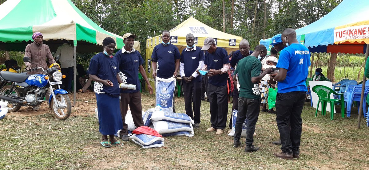 Real Maize farmers use Microp Planting, Yaravita Crop boost and Microp Top dressing.

Western Kenya on the Spot light!

#mboleaniyara #Yarakenya