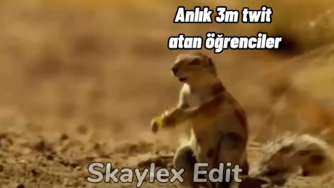 toplamada 21 milyon tweet attık ama hiç bir şey degişmedi ben anladım biz monarşi ile yönetiliyoruz #ZKusagiKatliamiDursun