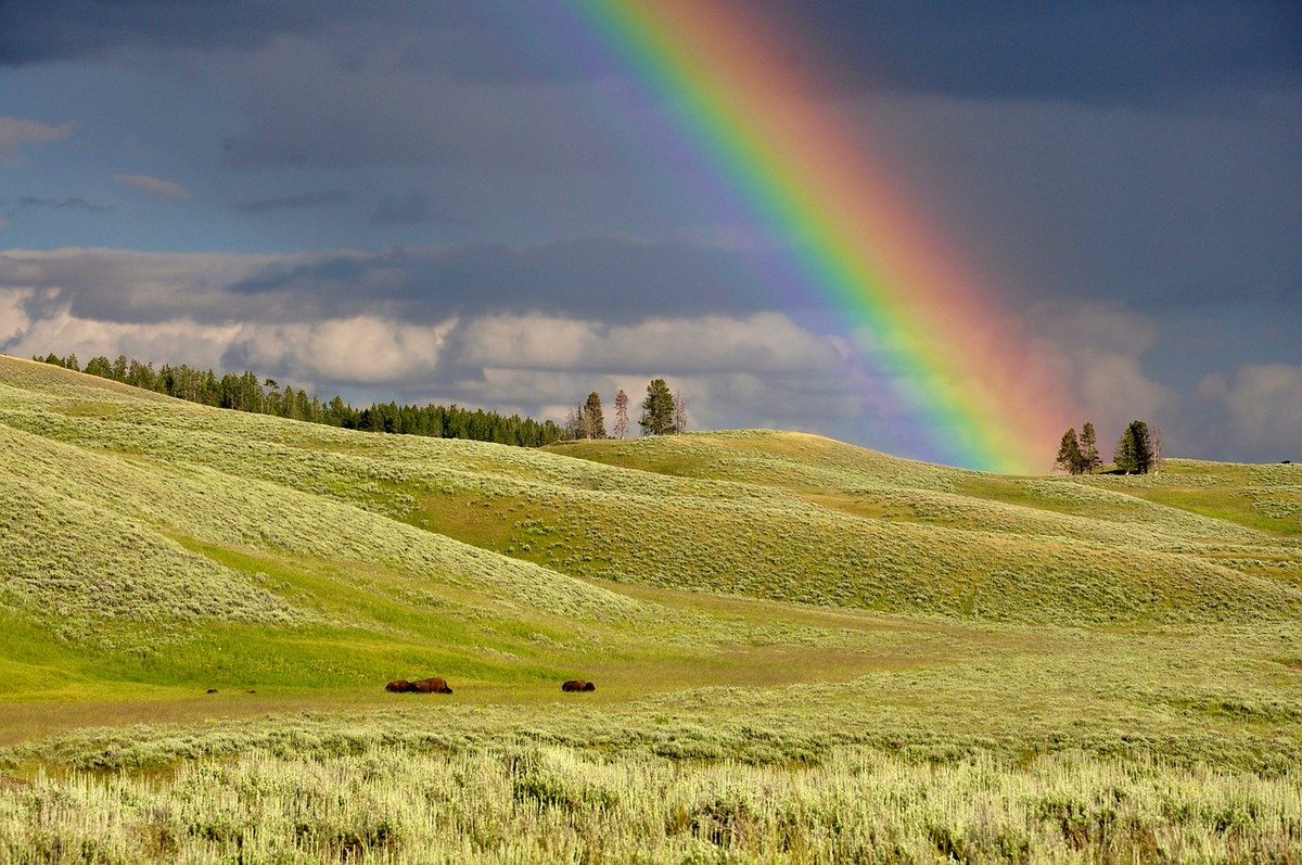 CFGA_ACPF's tweet photo. Big News! CFGA is leading a pilot project aimed to demonstrate grasslands’ carbon-storing power.  Details here: https://t.co/9xNoXWYizo https://t.co/iiWUaQpggr