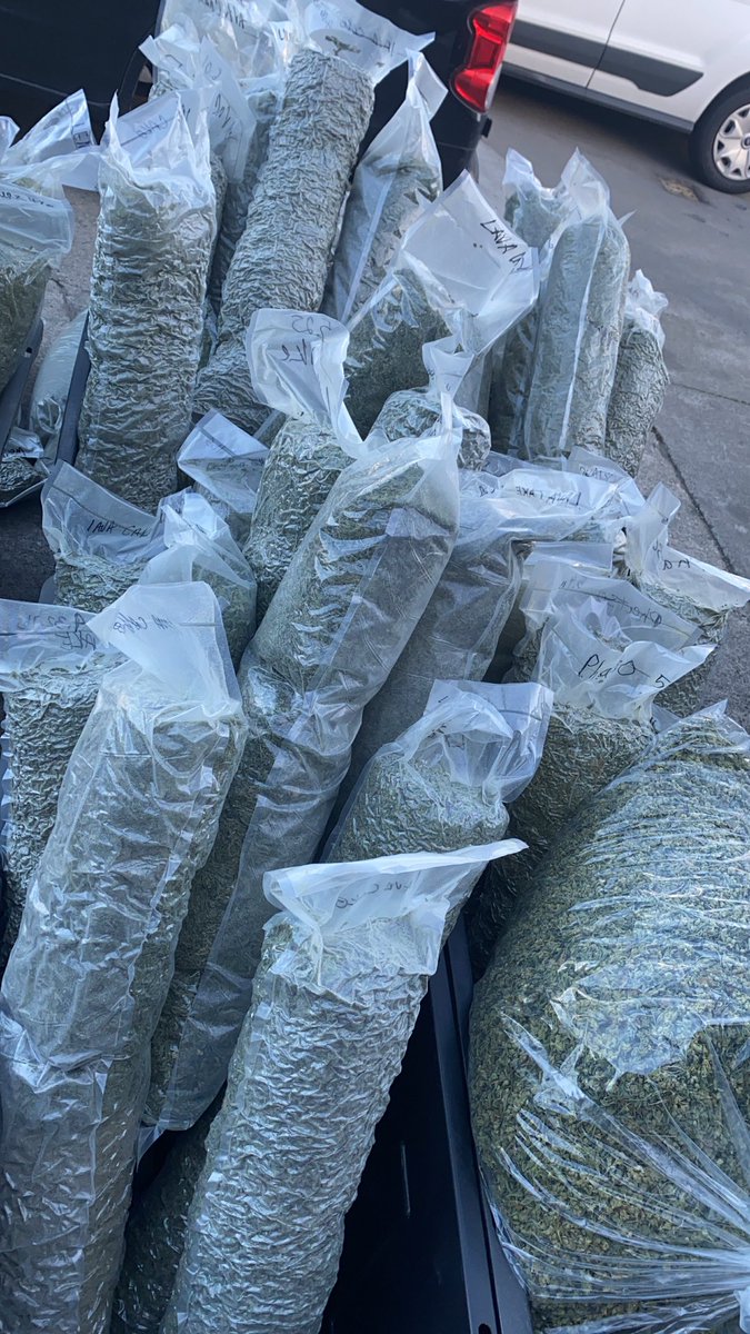 Lots of weed. To make lots of hash