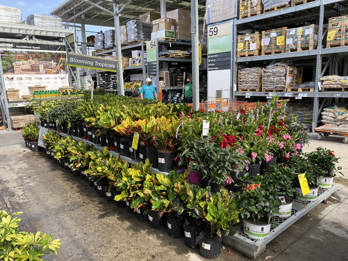 HD 1324 Saint Johns Florida garden center hopping store looks good merchandised well.