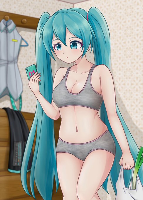 友人とミクさんの下着の解釈について話し合った結果の産物です 