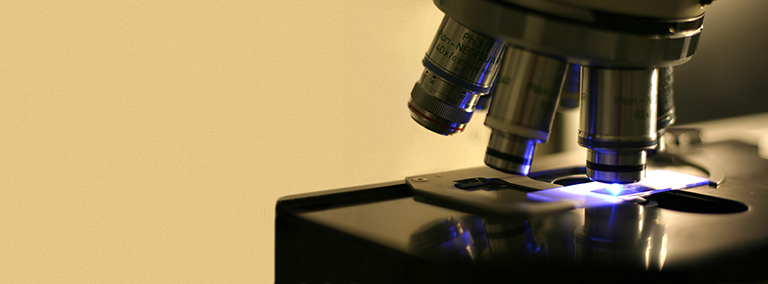 HamamatsuPhoton's tweet image. Get a glimpse into #photosensor modules under development for confocal laser microscopes at bit.ly/2O3sbBn #confocalmicroscopy #microscopy #PhotonicsWest