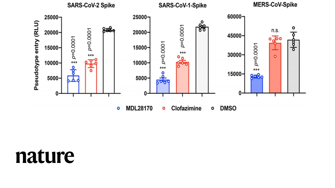 A Nature paper reports that the drug clofamizine, which is used to treat leprosy, is effective against SARS-CoV-2 infection in human cells and a hamster model. Clofamizine can be taken orally and has a comparatively low manufacturing cost. go.nature.com/2OCF4m3