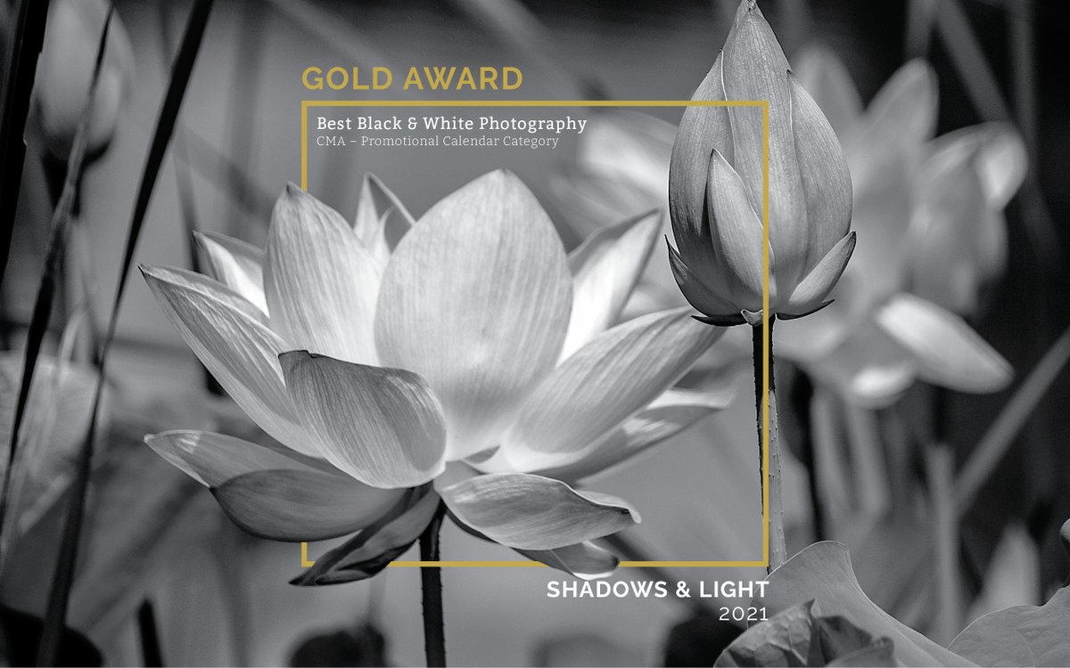Teldon tweet media