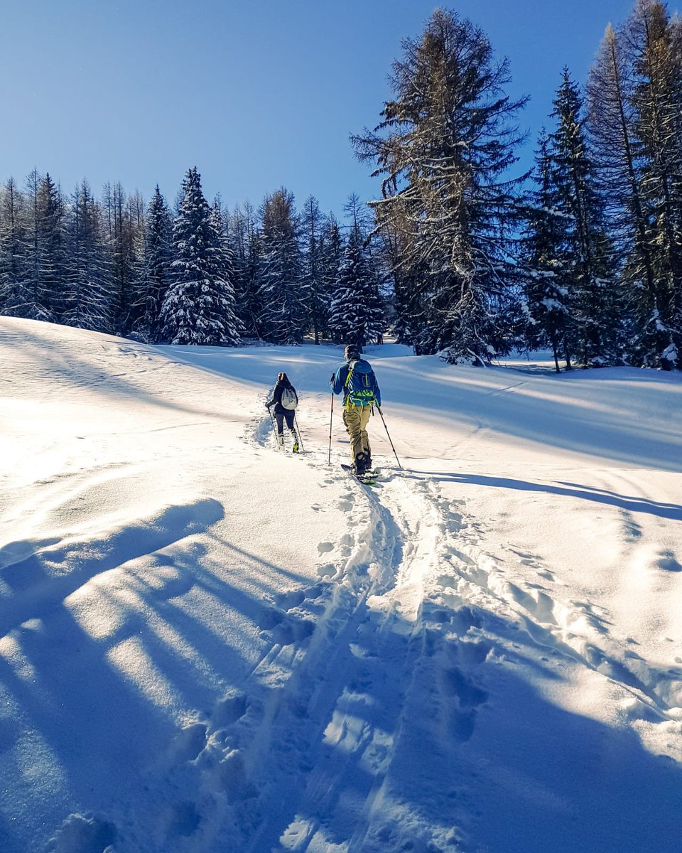 #CONCOURS 🔥

Bon Twitter, <a href="/otlanorma/">La Norma</a> a décidé de vous RÉ-GA-LER 🍾

A GAGNER: 

- SÉJOUR de 6 nuits pour 2
- 2 paires de skis <a href="/lineskis/">Line Skis</a> 
- 2j de rando + formation w/ <a href="/Up_Guides/">UpGuides</a> 

(Valeur de +2500€)

⏩ RT + follow @fflose &amp; <a href="/otlanorma/">La Norma</a> pour participer
TAS 19.03 21h. 

1/2