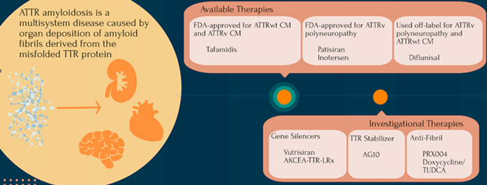 Don’t miss this comprehensive review on ATTR cardiac amyloidosis!
pubmed.ncbi.nlm.nih.gov/33657048 

<a href="/Meissane_B/">Meissane Lee, PharmD, BCACP</a>  <a href="/KNormanPharmD/">Kelsey Norman</a> <a href="/dhughesPharmD/">Dave Hughes</a> <a href="/vsanchorawala/">Vaishali Sanchorawala</a> <a href="/omarsiddiqi/">Omar K. Siddiqi, MD, FACC</a> <a href="/The_BMC/">Boston Medical Center</a>  

#Transthyretin #amyloid #tafamidis #diflunisal #patisiran #inotersen #cardiomyopathy #polyneuropathy