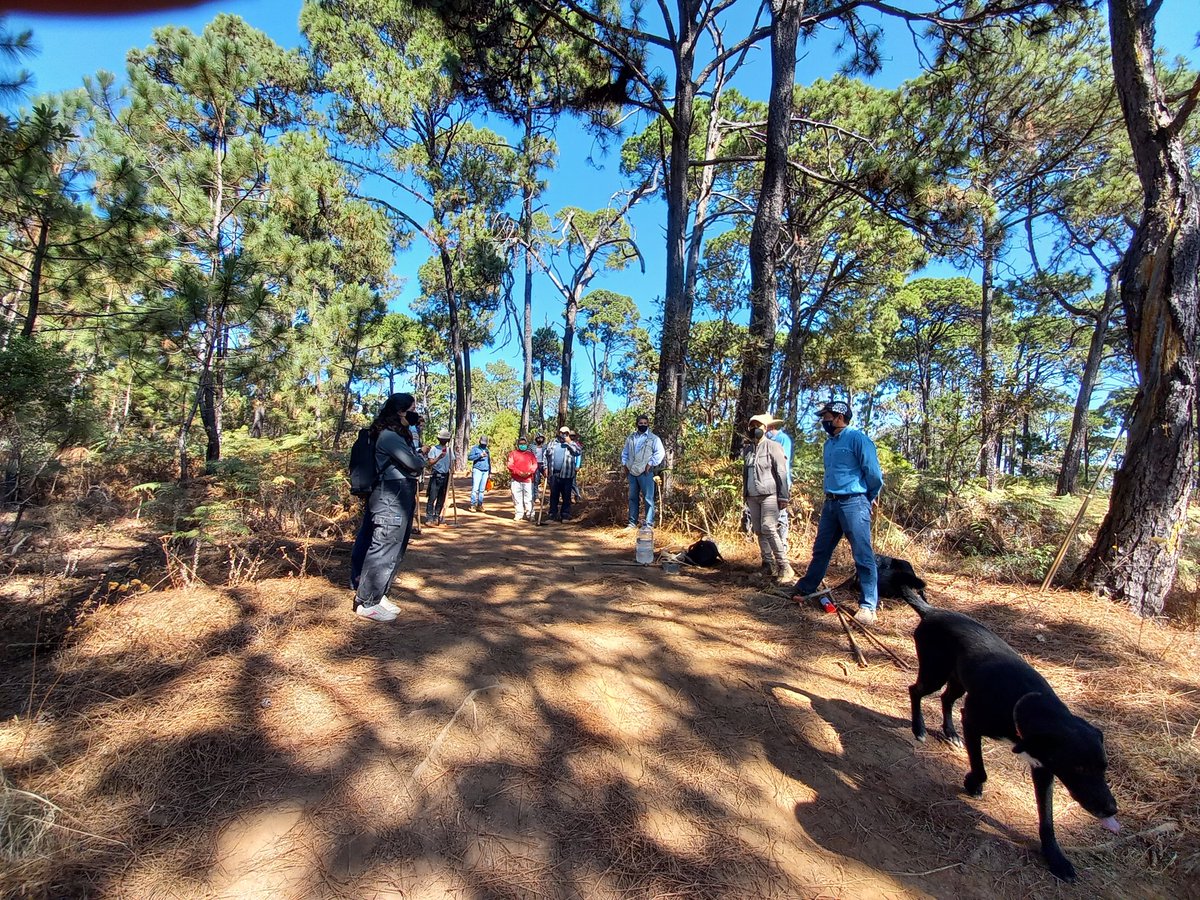 Iniciando la capacitación para trabajos de restauración en #MonteAlto presentes @cepanaf <a href="/ProcuencaVB/">ProcuencaVB</a> ViVa viviendas ambientales