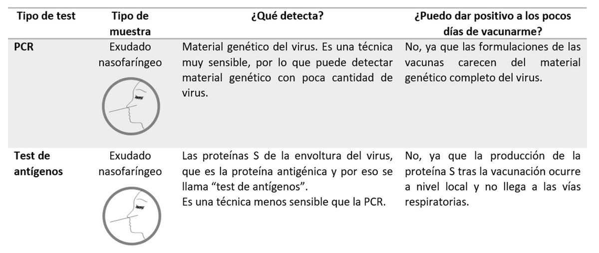cla_cor's tweet photo. Ninguna vacuna contra el SARS-CoV-2 es a virus vivo, por ende no dan PCR+ por el hecho de vacunarse. Si en cualquier momento post vacuna tienes una PCR+ es porque estás infectado. https://t.co/4I8lTRu4Gj