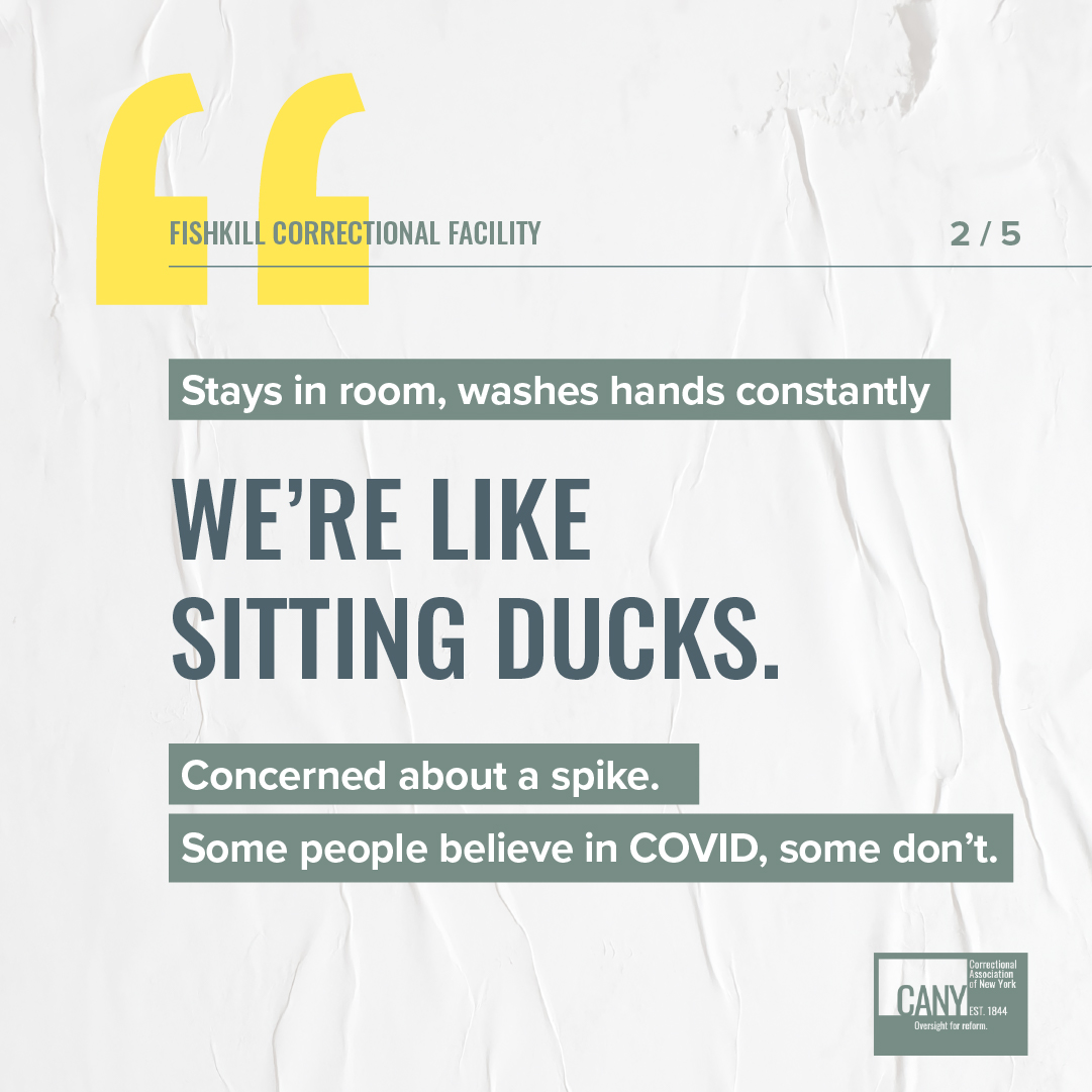 Over the next two weeks, CANY will be presenting the data we collected last year during our prison monitoring visits to Fishkill, Sing Sing, Bedford Hills, and Green Haven. This series will feature direct quotes from the over 500 people we spoke with during these visits.