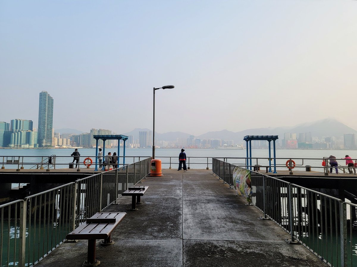 Dog 📈 tweet media