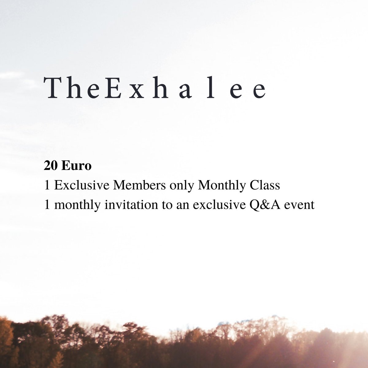 The_Exhale_'s tweet photo. From as little as 10 Euro per month, you help us support the international music community, ensuring the sheer delight of music-making continues to be available to everyone 🎻

To learn more visit our website ✨ https://t.co/KZtG9ICHUi