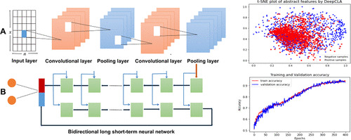 JCIM_JCTC's tweet photo. #DeepCLA: A Hybrid Deep Learning Approach for the Identification of #Clathrin
https://t.co/5FjfqWw2Mu
#Issue_1 #vol_61 #Bioinformatics https://t.co/fLdQU0YeKS