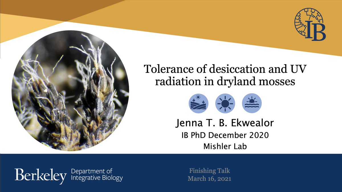 Bryophyter's tweet photo. I filed my dissertation in Dec. but I guess it finally feels real after giving my exit talk to my dept @berkeleyIB yesterday. I’m celebrating my education &amp; graduating from college for the final time. 🎓 1/4 https://t.co/c5RcsNOVsS
