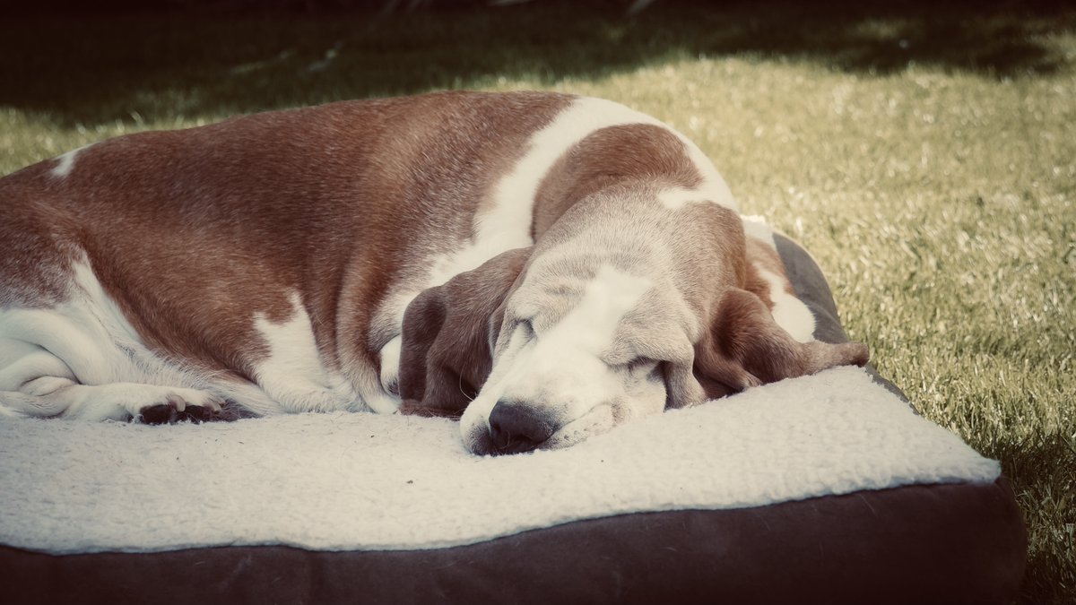 Phil Sledge tweet media