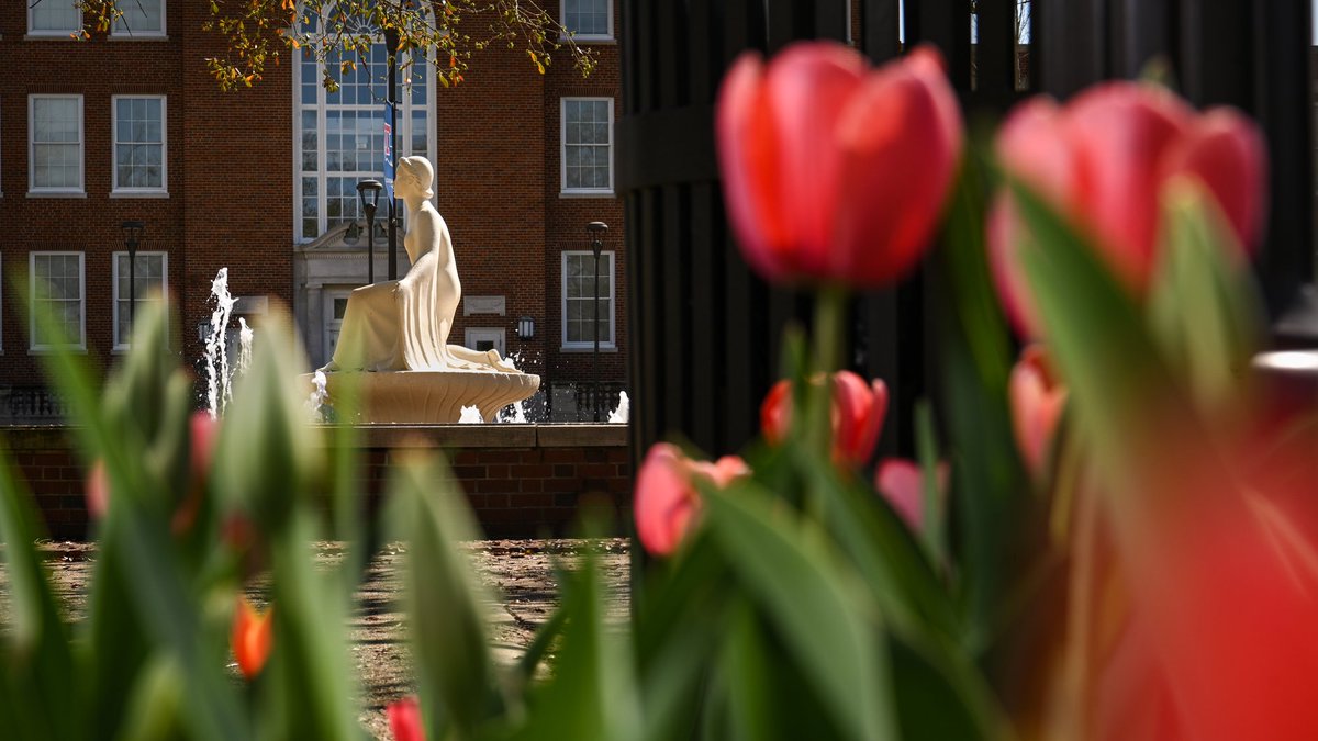 Louisiana Tech University tweet media