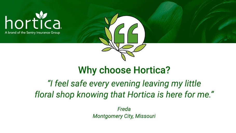 Hortica Insurance Claims Address Building For Wind And Hortica Insurance Claims Address Building For Wind And