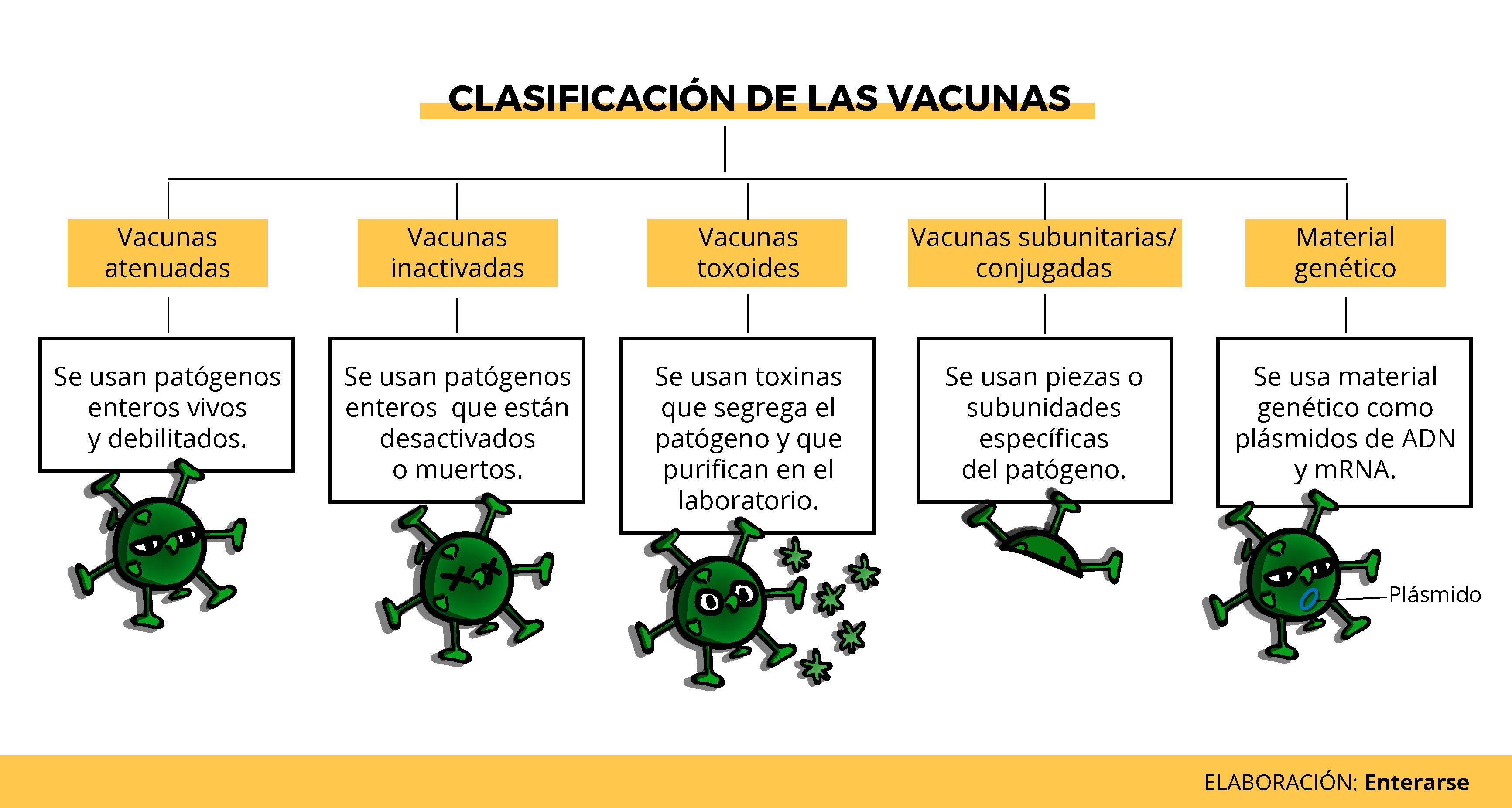 Clasificación de las vacunas