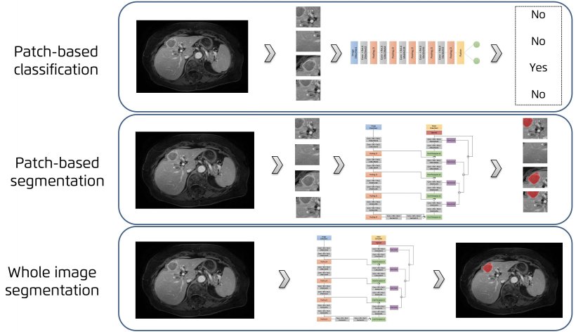 Segmenting organs manually is time consuming and radiologists often complain about it. #RADAI segmentation takes that pain away," says <a href="/ajimenez_pastor/">Ana Jimenez Pastor</a>. <a href="/QuibimBiomarker/">Quibim</a> #ImagingAI #ECR2021 healthcare-in-europe.com/en/news/ai-exp…