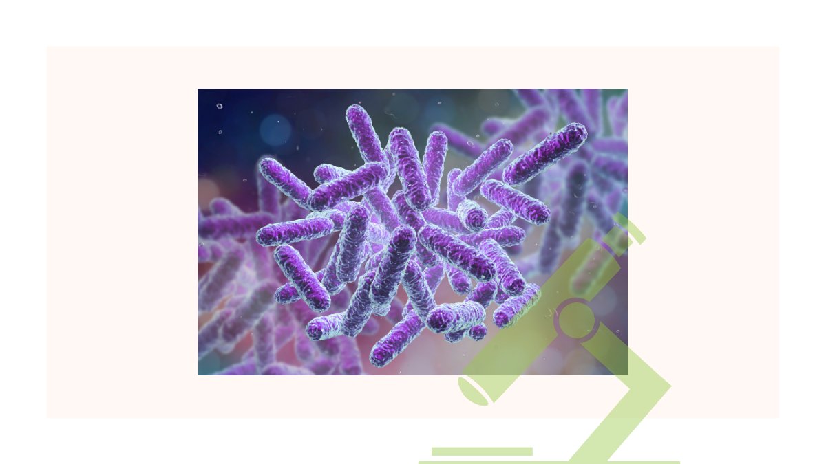 Voices Study tweet media