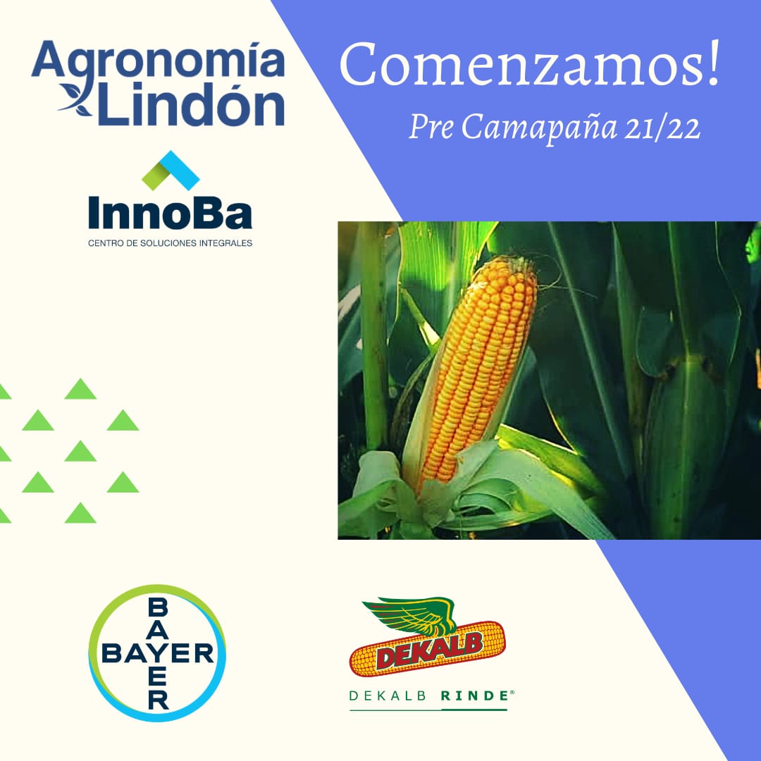 En estos momentos! 👇👇👇
<a href="/Bayer4Crops/">Bayer | Crop Science</a> <a href="/DekalbArgentina/">DEKALB Argentina</a> <a href="/Asgrow_DEKALB/">DEKALB Asgrow Seed</a>