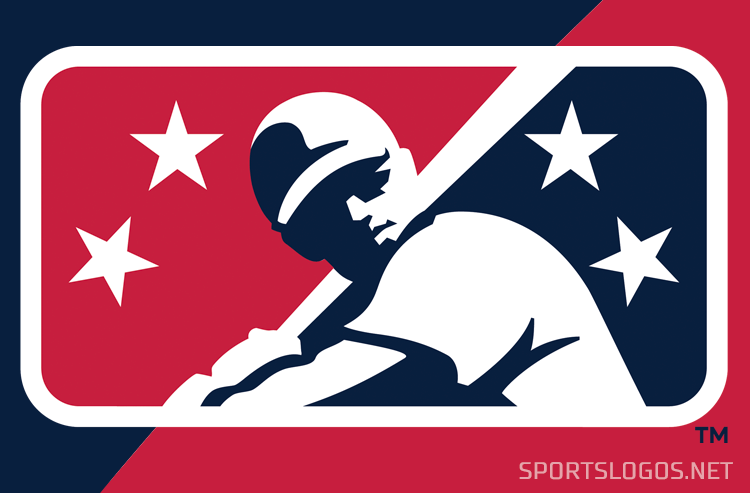 St Louis Cardinals MLB Baseball Official Team Logo Poster Trends In Sports Poster Warehouse #32 St Louis Cardinals MLB Baseball Official Team Logo Poster Trends In Sports Poster Warehouse