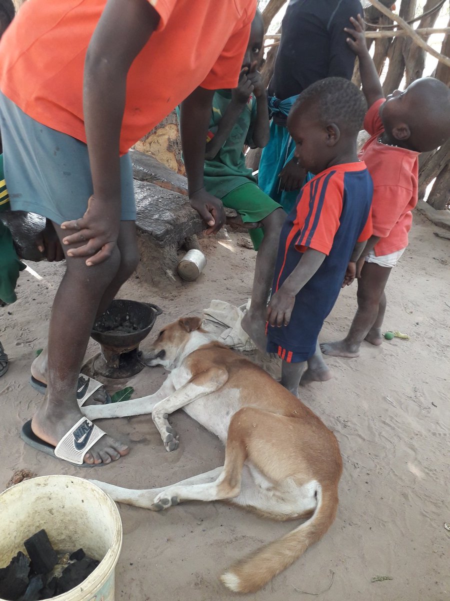 Modoula09521124's tweet image. 