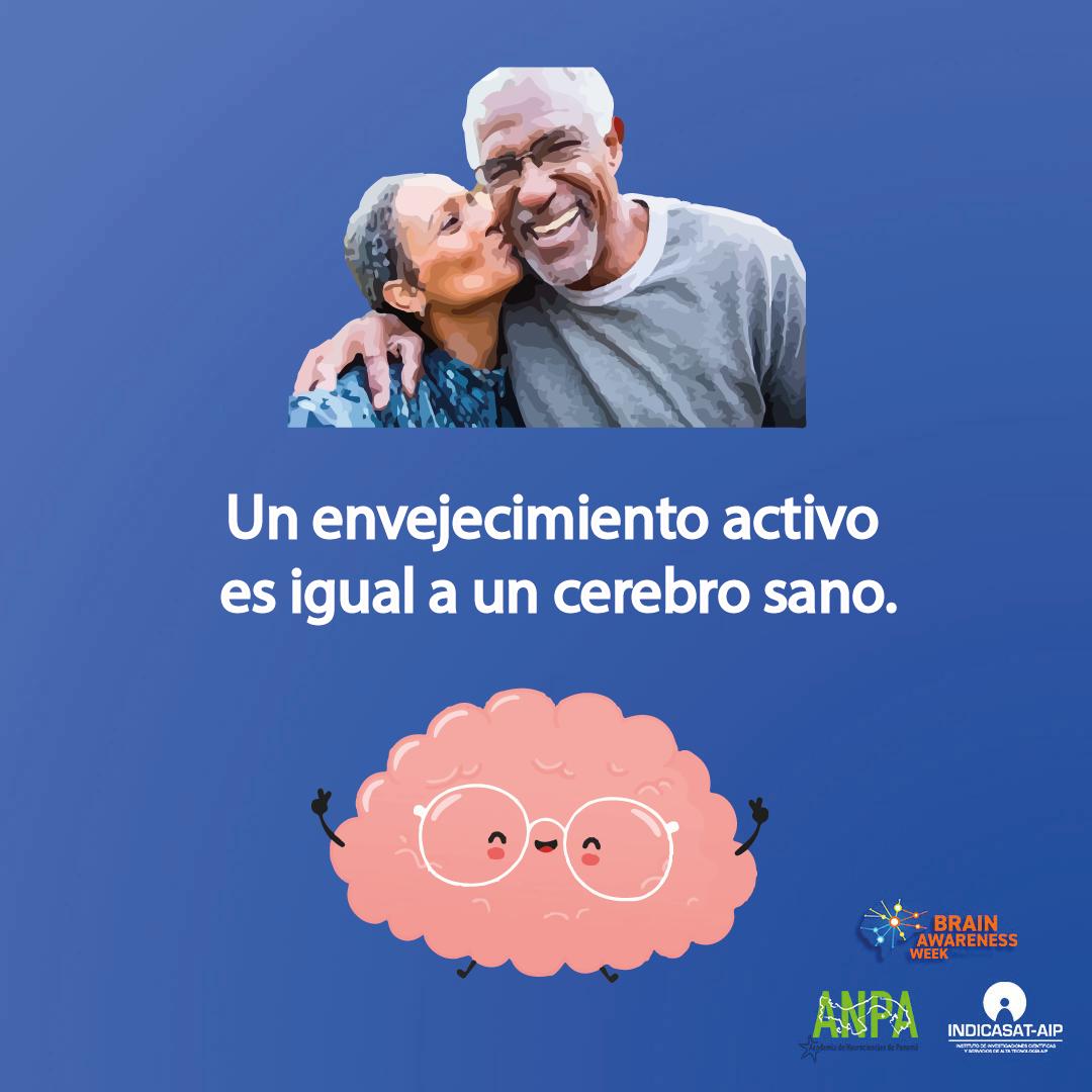 memoriaysalud's tweet image. El grupo PARI se ha dedicado desde 2011 al estudio de la salud de adultos mayores en Panamá. En la Semana del Cerebro hoy compartimos infografías sobre el envejecimiento exitoso #BrainAwarenessWeek2021