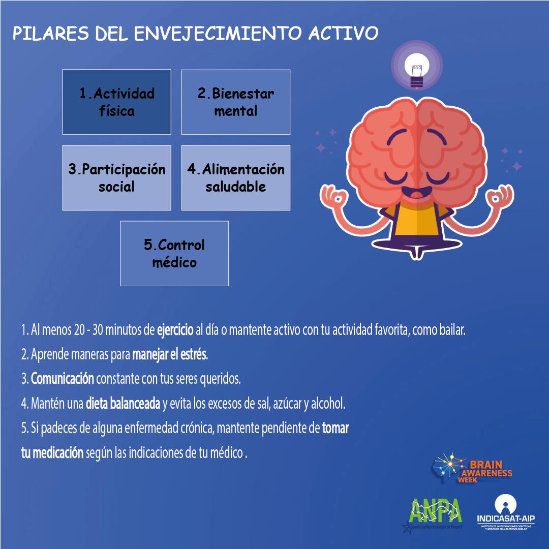 memoriaysalud's tweet image. El grupo PARI se ha dedicado desde 2011 al estudio de la salud de adultos mayores en Panamá. En la Semana del Cerebro hoy compartimos infografías sobre el envejecimiento exitoso #BrainAwarenessWeek2021