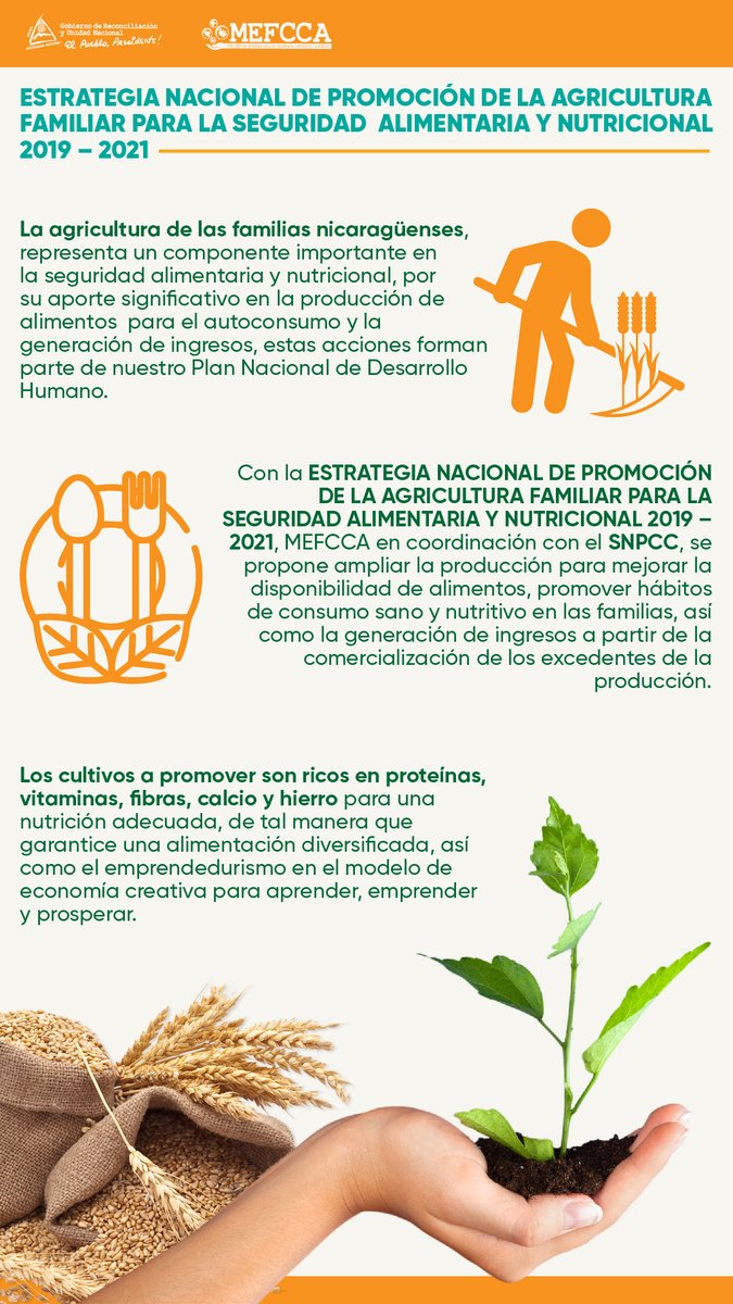 MinEmpren's tweet photo. Continuamos acompañando a las familias nicaragüenses a través de la Estrategia Nacional de Promoción de la Agricultura Familiar para la Seguridad Alimentaria y Nutricional
#MEFCCA #SNPCC #2021EsperanzasVictoriosas https://t.co/Asl68dmZXQ