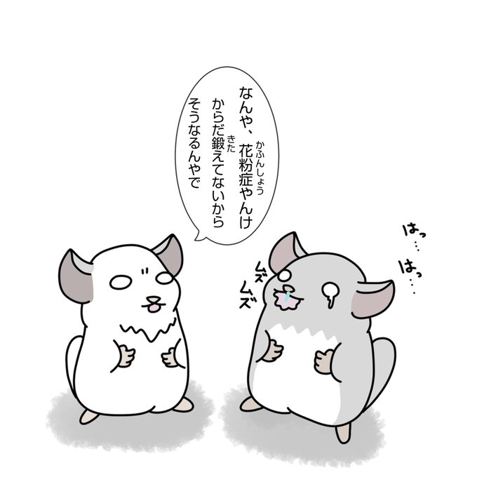 チンチライラストのtwitterイラスト検索結果 チンチライラストのtwitterイラスト検索結果