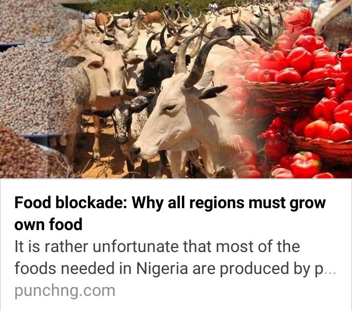 JAfrifarm's tweet photo. There is need to support and encourage home based farmers
We can't have a problem of this magnitude and have resources so poorly allocated 
We will struggle as a nation 
#Foodsecurity #farming 
#sustainability #agriculture https://t.co/jNXDecVukY