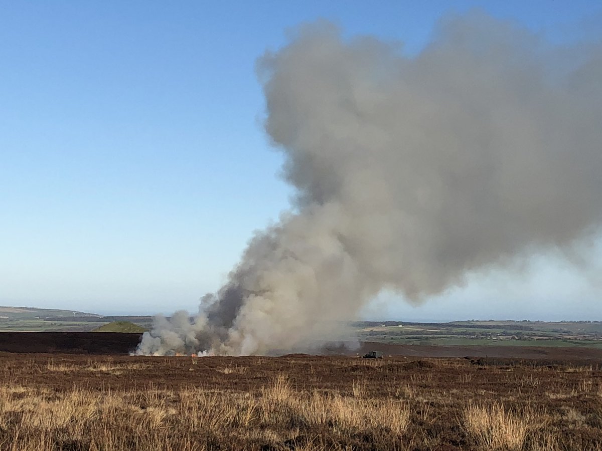 Grouse moors in @NorthYorkMoors have continued burning on fragile peatlands today, despite the practice causing considerable harm to the environment. 🔥 ✏️ If you spot burning in the national park, please note down the location and report it to @NYMMonitors.
