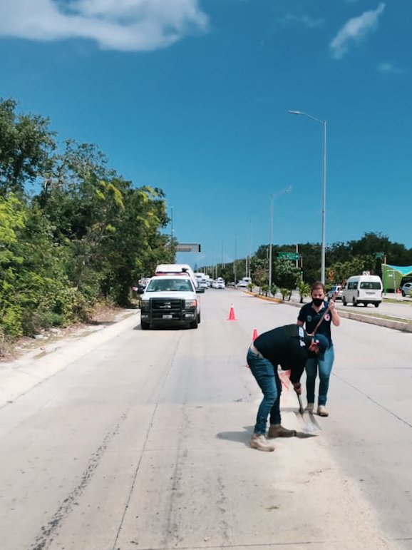 #Precaución | Mediante la línea de emergencias 9-1-1 se registra derrame de combustible sobre la Av. 115 con CTM elementos de operativos de nuestra secretaría ya se encuentran en el lugar ¡Tomé sus precauciones! 

#PrevenirEsVivir
#PlayaDelCarmen #PuertoAventuras