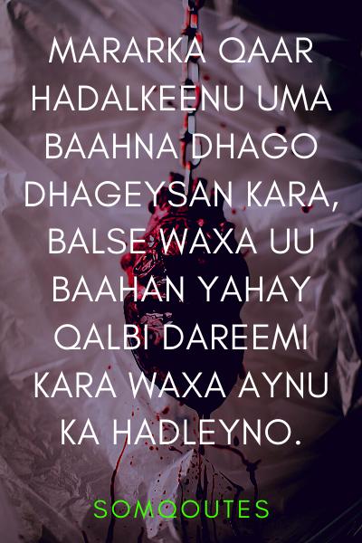 SomMotivation's tweet photo. Noloshu waa is-faham 

#SomMotivation
#dhiirigalin 
#xikmado 
#qoraalo 
#somali 
@SomMotivation https://t.co/auoTyhhN8m