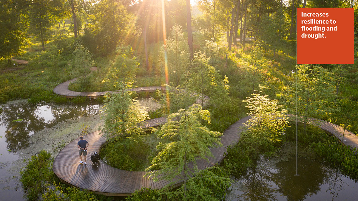 NationalASLA's tweet photo. At the Houston Arboretum and Nature Center in Houston, Texas, Design Workshop and Reed Hilderbrand restored the original ecosystems, increasing the Arboretum’s resilience to flooding and drought. 
 https://t.co/qOGrM4ndlN #ASLAClimate https://t.co/BuBwwwnATb