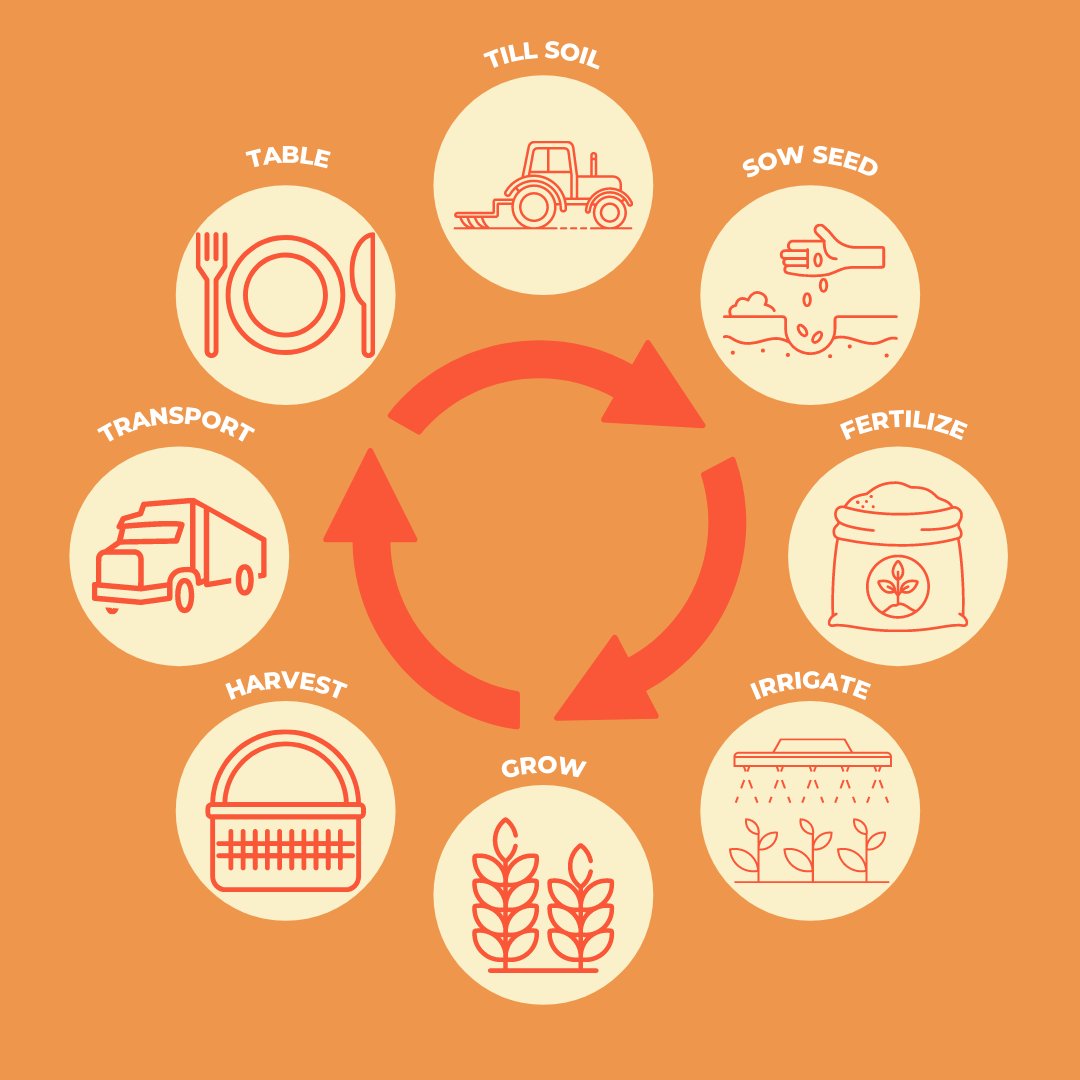 From FARM to the TABLE. How do you harvest your crops in a clean, green, and lean way?

#leansixsigma #leantraining #agriculture #problemsolving #rootcauseanalysis #waste #8wastes #washingtonagriculture #whatcomfarmfriends #eatlocal #farmtotable