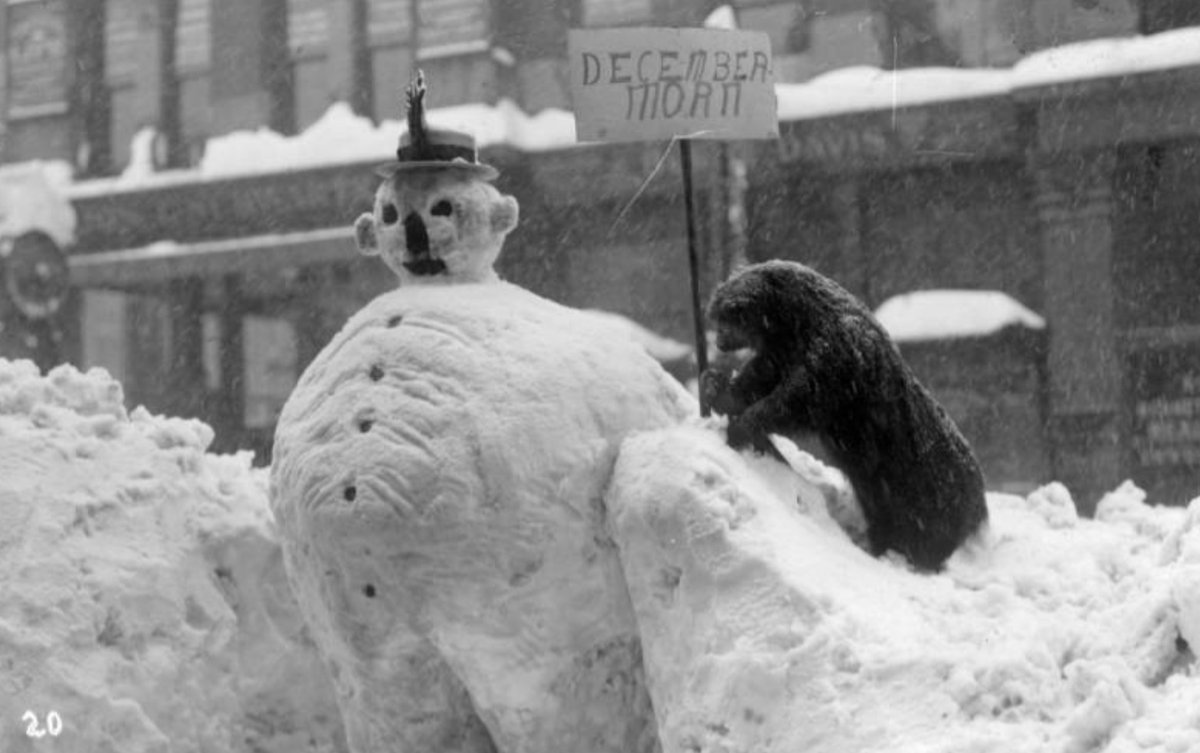 Denverite's tweet photo. Hi, this is @DavidASachs and I came across some photos from @WHGnews of the 1913 Denver snow storm, which dropped 45 inches on the city. 

It hit different.

https://t.co/Ej6PpeeOH3 https://t.co/LTCO049u28