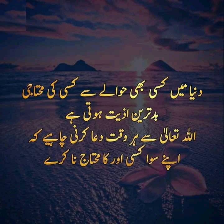 DomkiBashir's tweet image. 