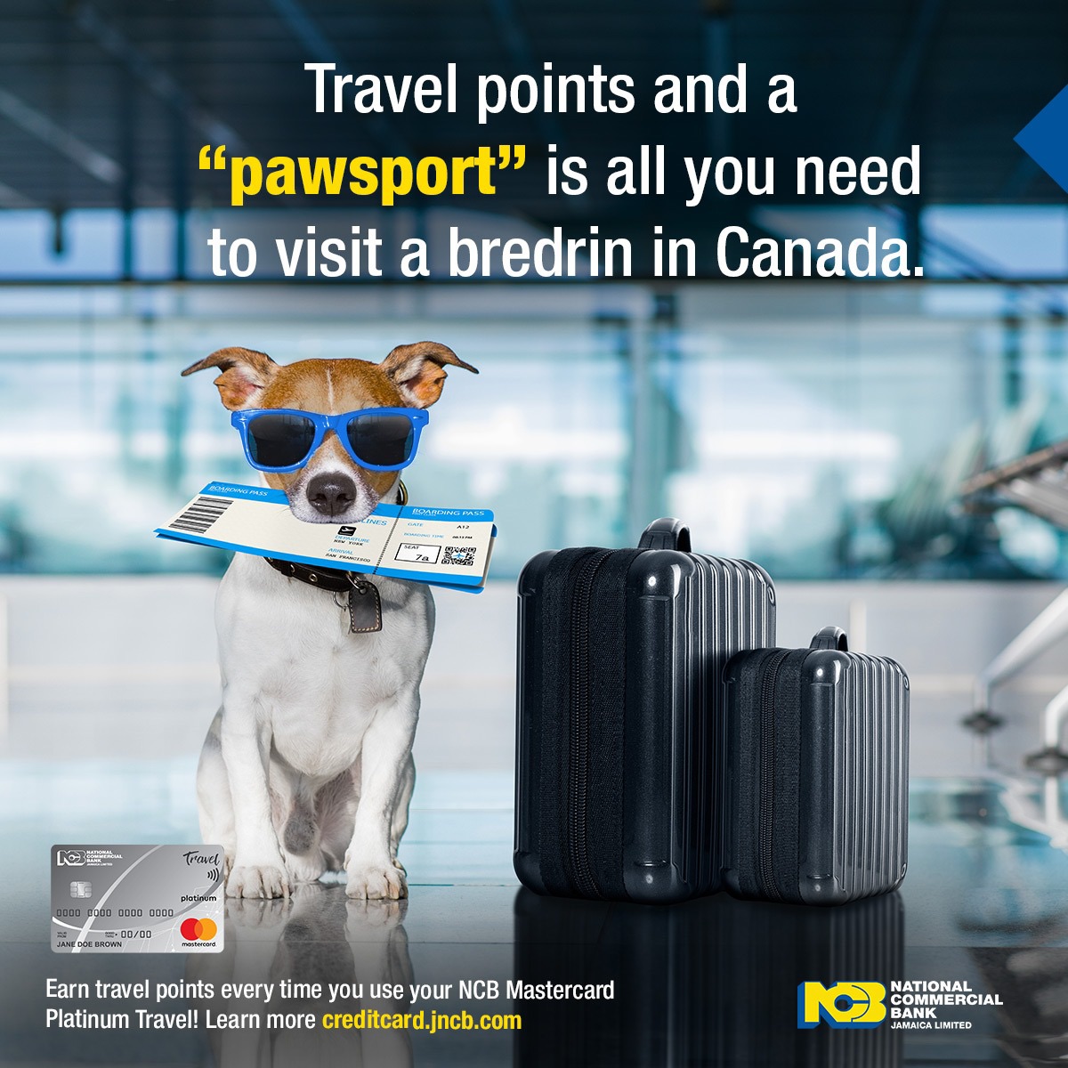 ncbja's tweet photo. You deserve a trip to Canada too! Earn travel points every time you use your NCB Mastercard Platinum Travel! These points can be redeemed for hotel stay, car rental or to travel to anywhere in the world. 

Sign up for yours at https://t.co/9n6vxHKnJv. https://t.co/pn5jM8KWBO