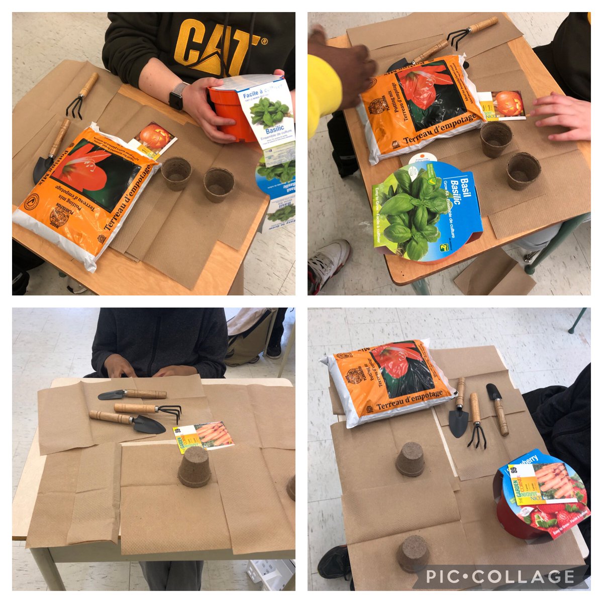yelly100's tweet photo. Room 108 is starting our Spring Planting! Hoping to have fresh basil, parsley, carrots and beans to send home with families! @ECPPtdsb https://t.co/4d7QOXw5X1