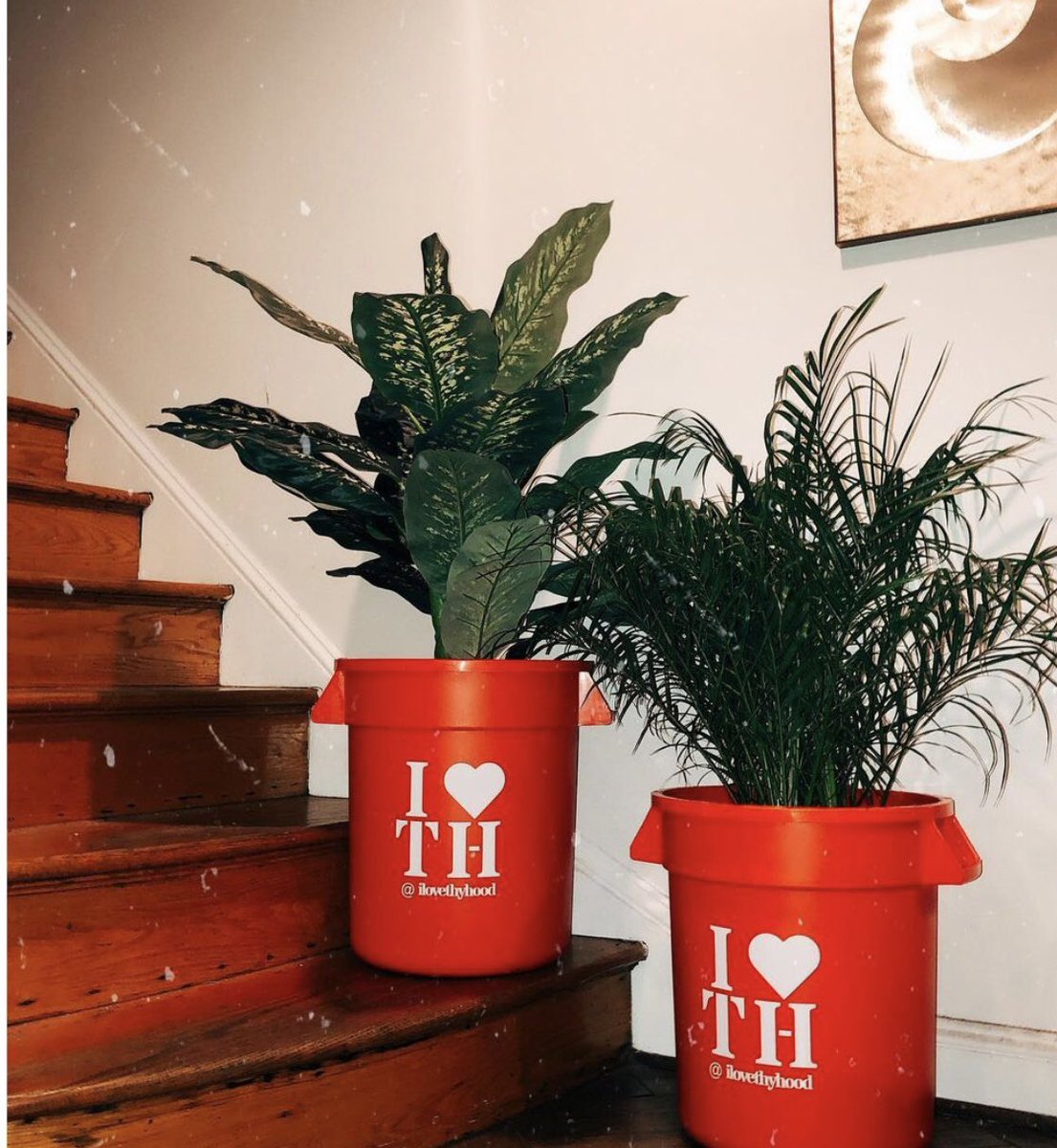 I LOVE THY PLANTS 🪴🌱
Featuring our mini-cans, coming soon!