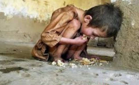 Gariban yemek için  bulamazken.Oyun alanına Mısır "nimet" döküp üstünde oyun oynatanlara  Allah akıl fikir versin #survivor2021