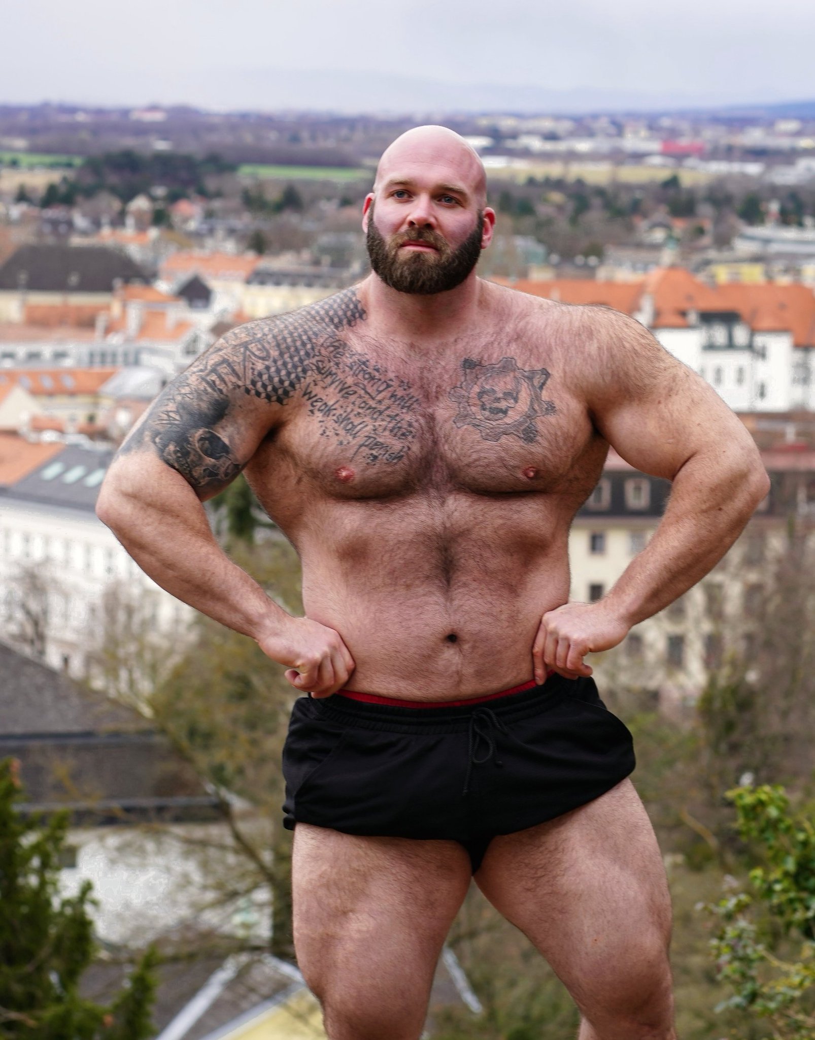 Gschiel Gerald The Human Bear on X:  ⬆️🔥FREE  ACCOUNT🔥⬆️ Pete Austria and I are planning a new projekt 💪😀📸 on . 165kg  375lbs vs 145kg 320lbs Pete is still growing 😳 . #