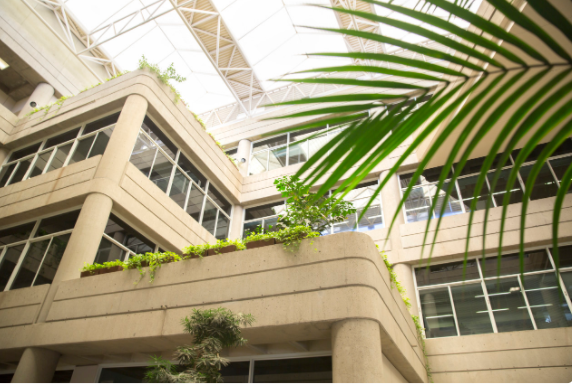 CalEnergy's tweet photo. Join us at 10 a.m. tomorrow for the #CalEnergy business meeting.
On the agenda:
✅#SB100 final report
✅2021 #IEPR
✅$21M for #EPICresearch projects
✅$2.5M for #CleanTransportation workforce training
✅$4.2M for local #EV readiness
Live stream here: https://t.co/zFyVS2g7lJ https://t.co/OLAW1rCRRG