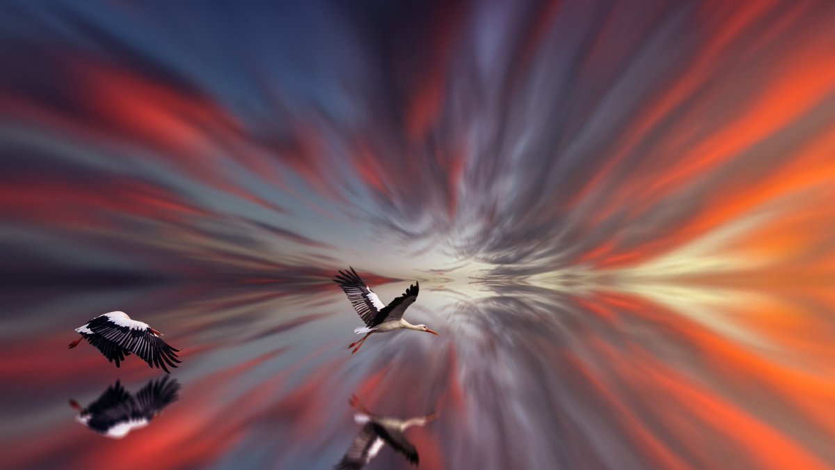 NealGompa(ニール・ゴWuI tweet media